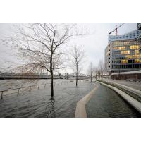 8766_0927 Promenade an der Hafencity unter Wasser - Bäume im Wasser. | Hochwasser in Hamburg - Sturmflut.